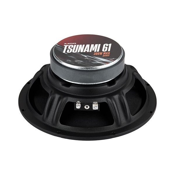 Акустика Avatar Tsunami 61