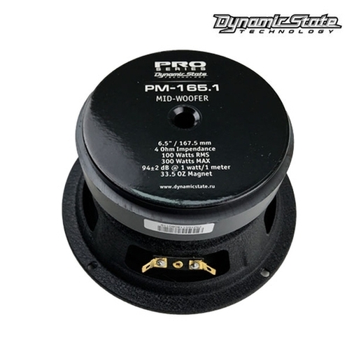 Акустика Dynamic State PRO PM-165.1 (комплект)