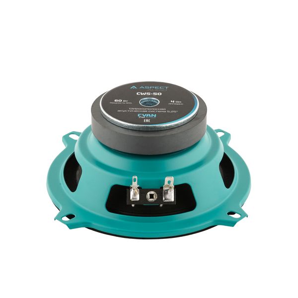 Акустика Aspect CWS-50