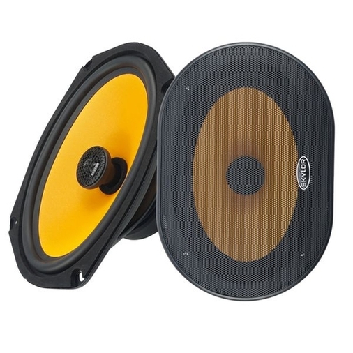 Акустика Skylor E69 coax