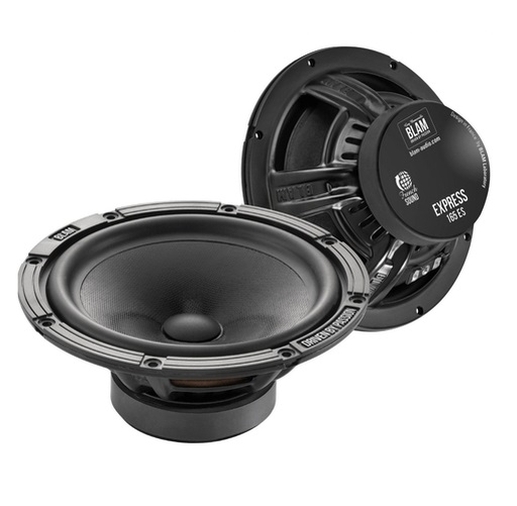 Акустика Blam W165ES