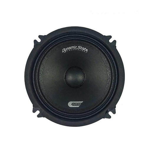 Акустика Dynamic State CUSTOM CM-13.1