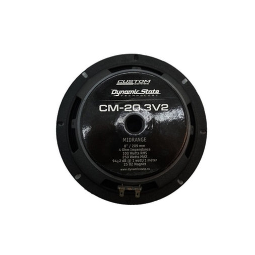 Акустика Dynamic State CM-20.3v2 CUSTOM