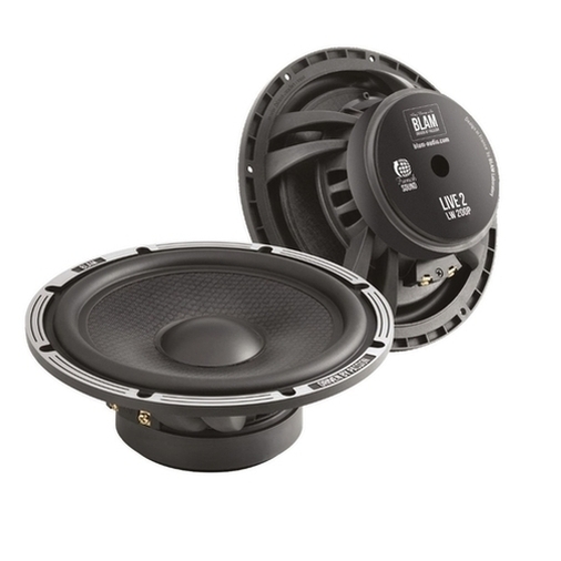Акустика Blam LW 200 P (мидбасы)