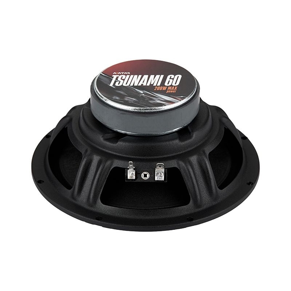 Акустика Avatar Tsunami 60