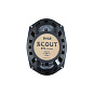 Акустика COLT Scout 693 coaxial