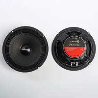 Акустика Ural BV-165